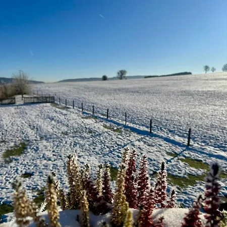 アパート Pit & マルメディ