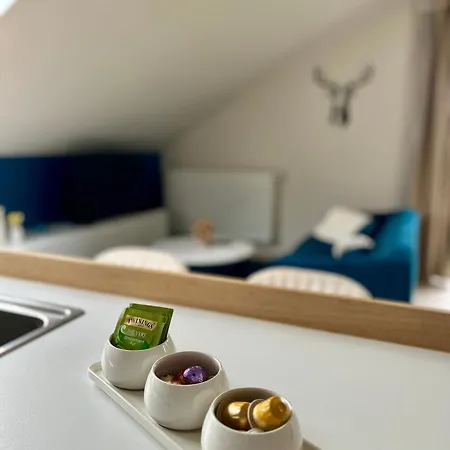 Pit & マルメディ